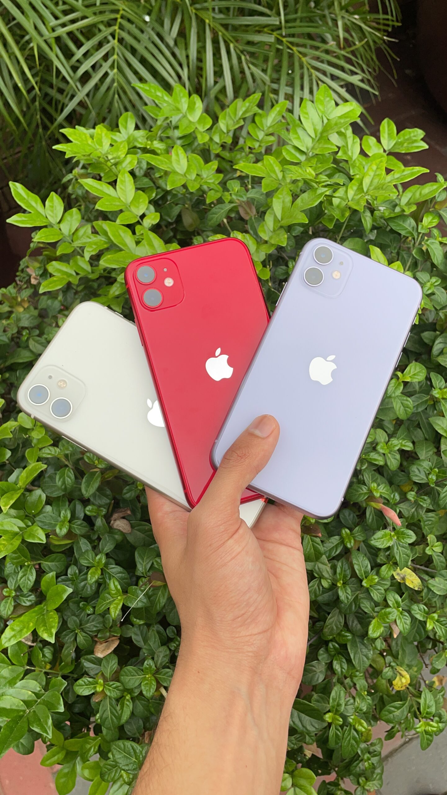  iPhone 11 64gb Available for Only R4999! Was R7,999